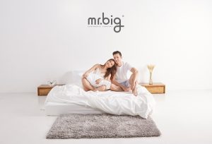 mr.big pillow