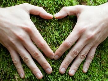 heart shape hands on grass